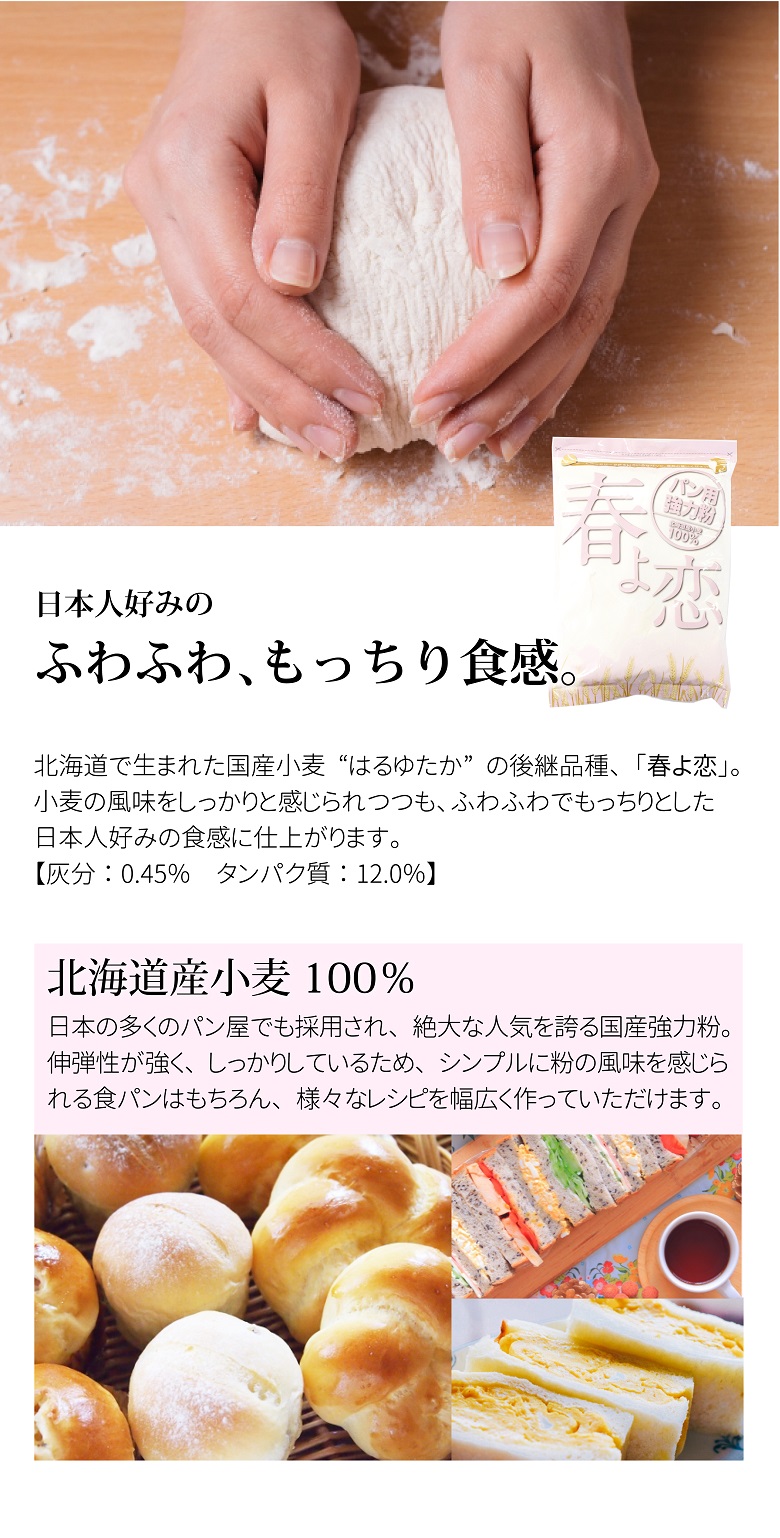 供え 食パン 北海道産小麦 天然酵母100％ 冷凍