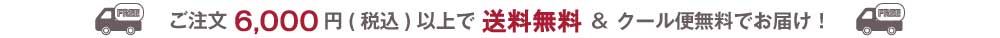 6,000円以上(税込)のご注文は送料無料